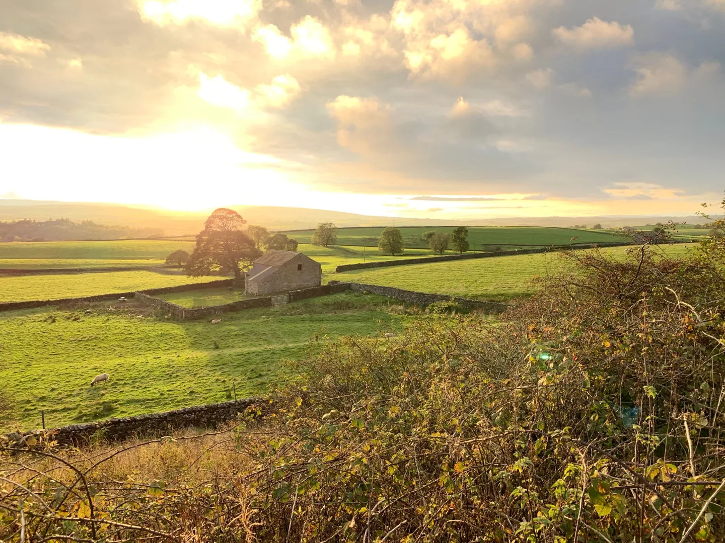 Golden sunlight across the countryside