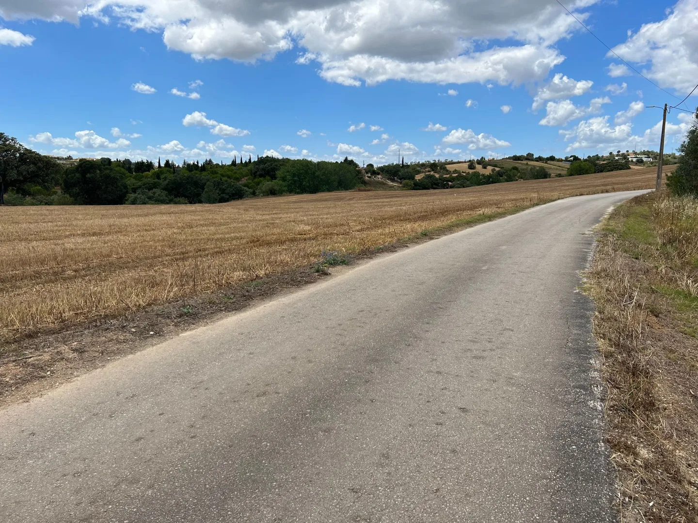 Country road between harvested fields