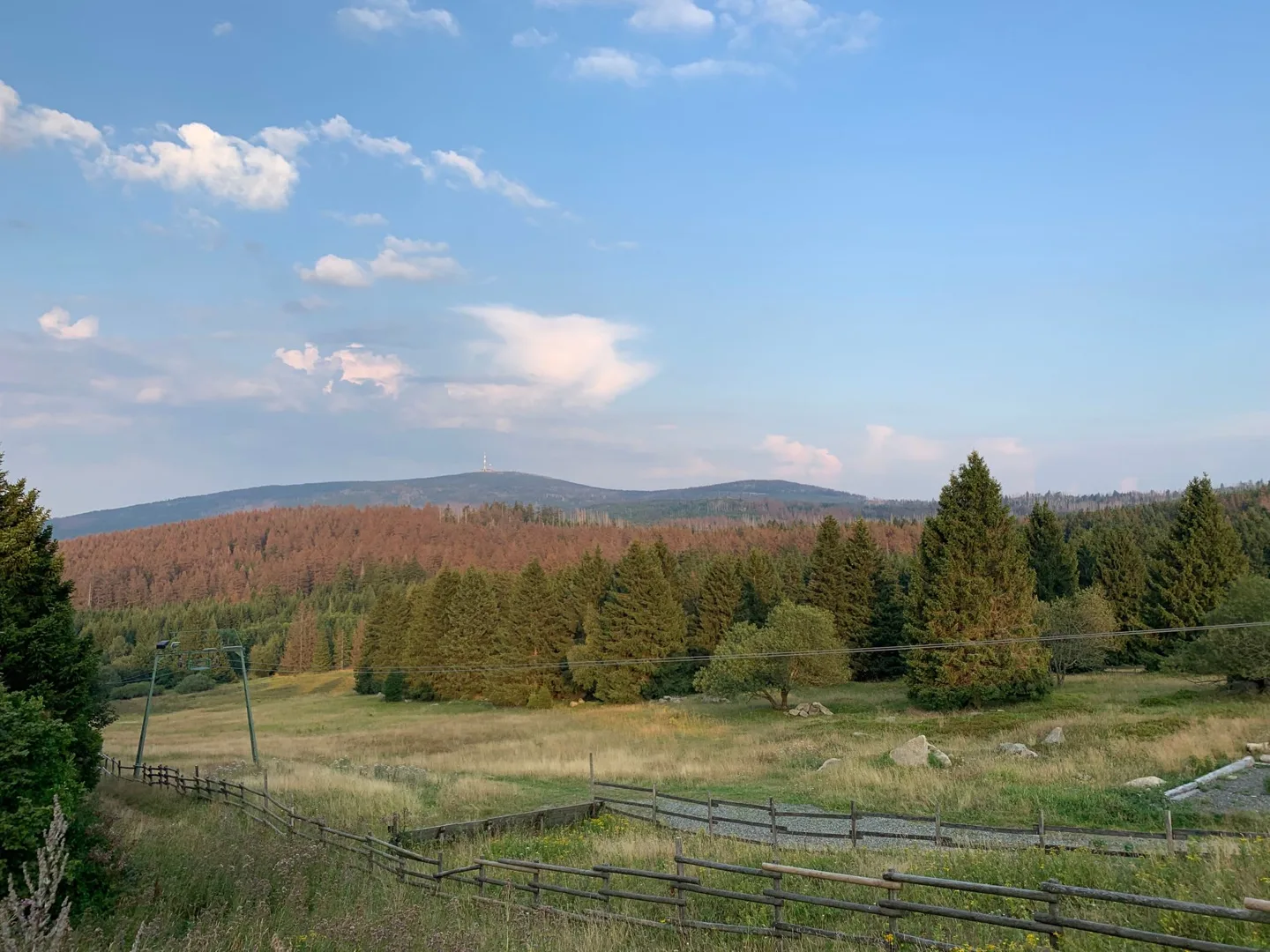 Open countryside in evening light