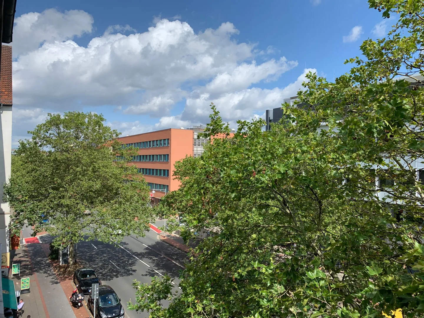 Tree-lined street viewed from an apartment