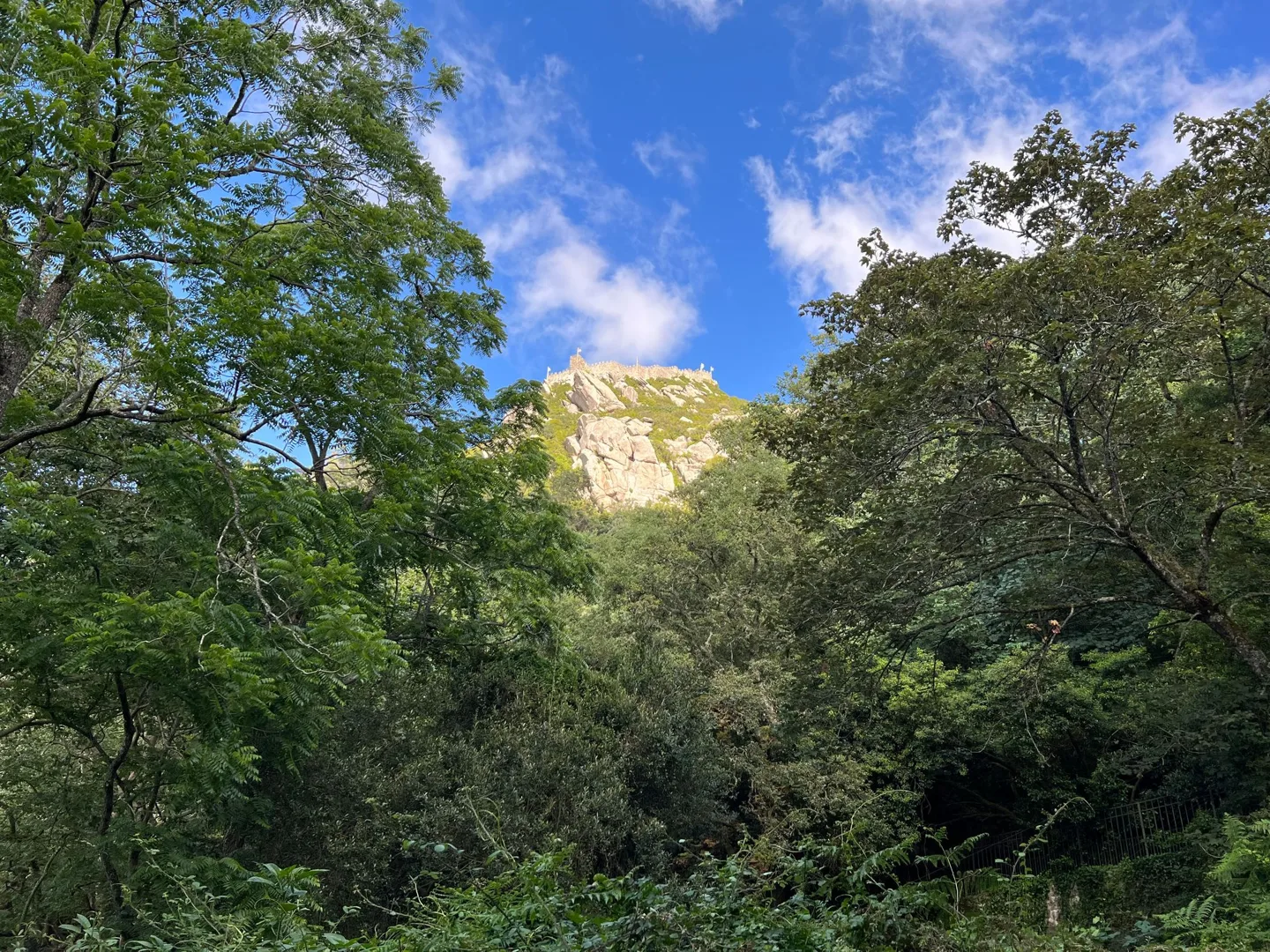 Palace walls above a wooded hillside