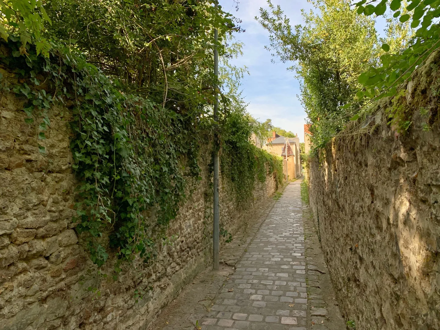 Narrow stone-walled path shaded by greenery