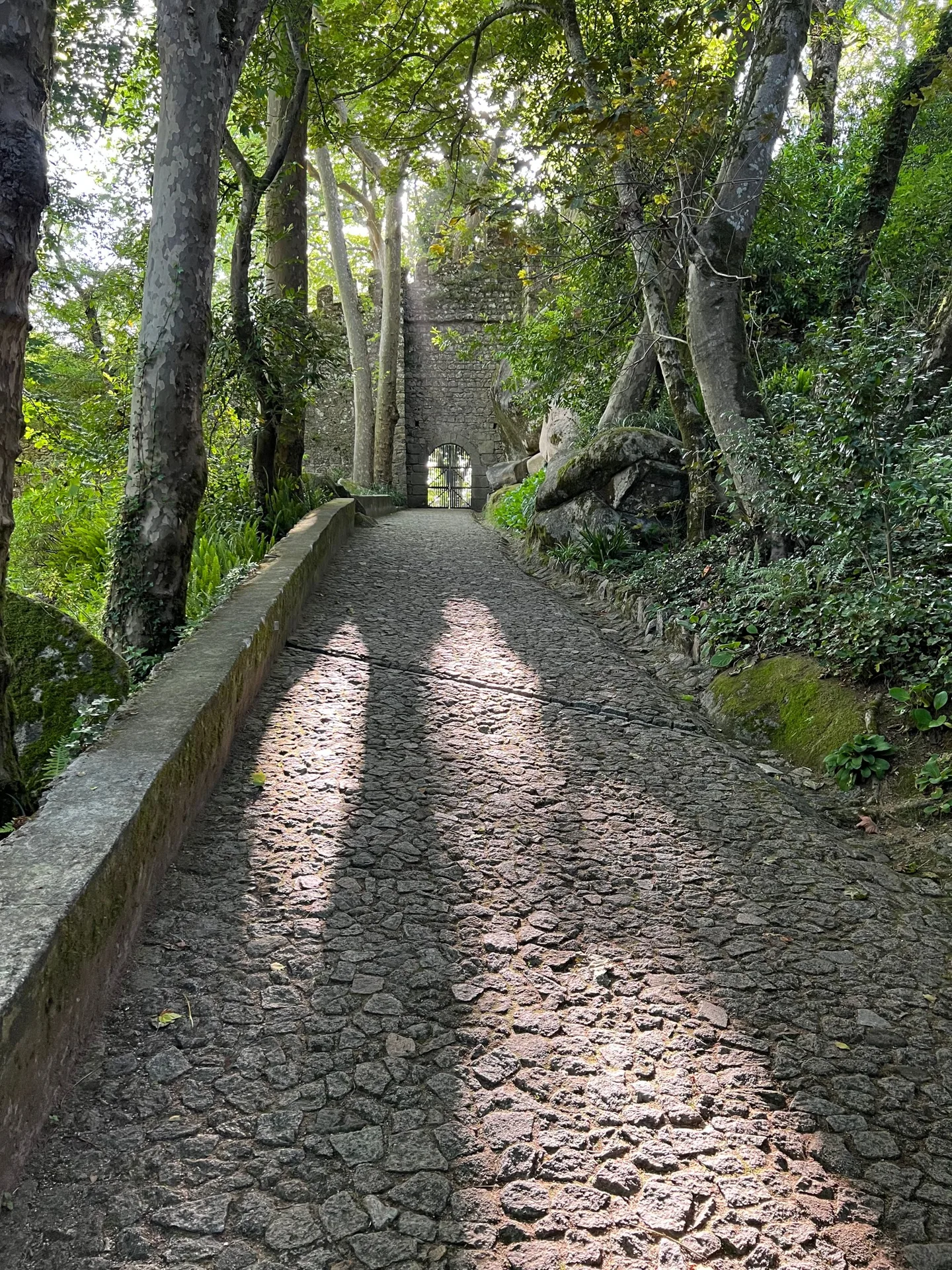 Cobblestone walkway through the woods