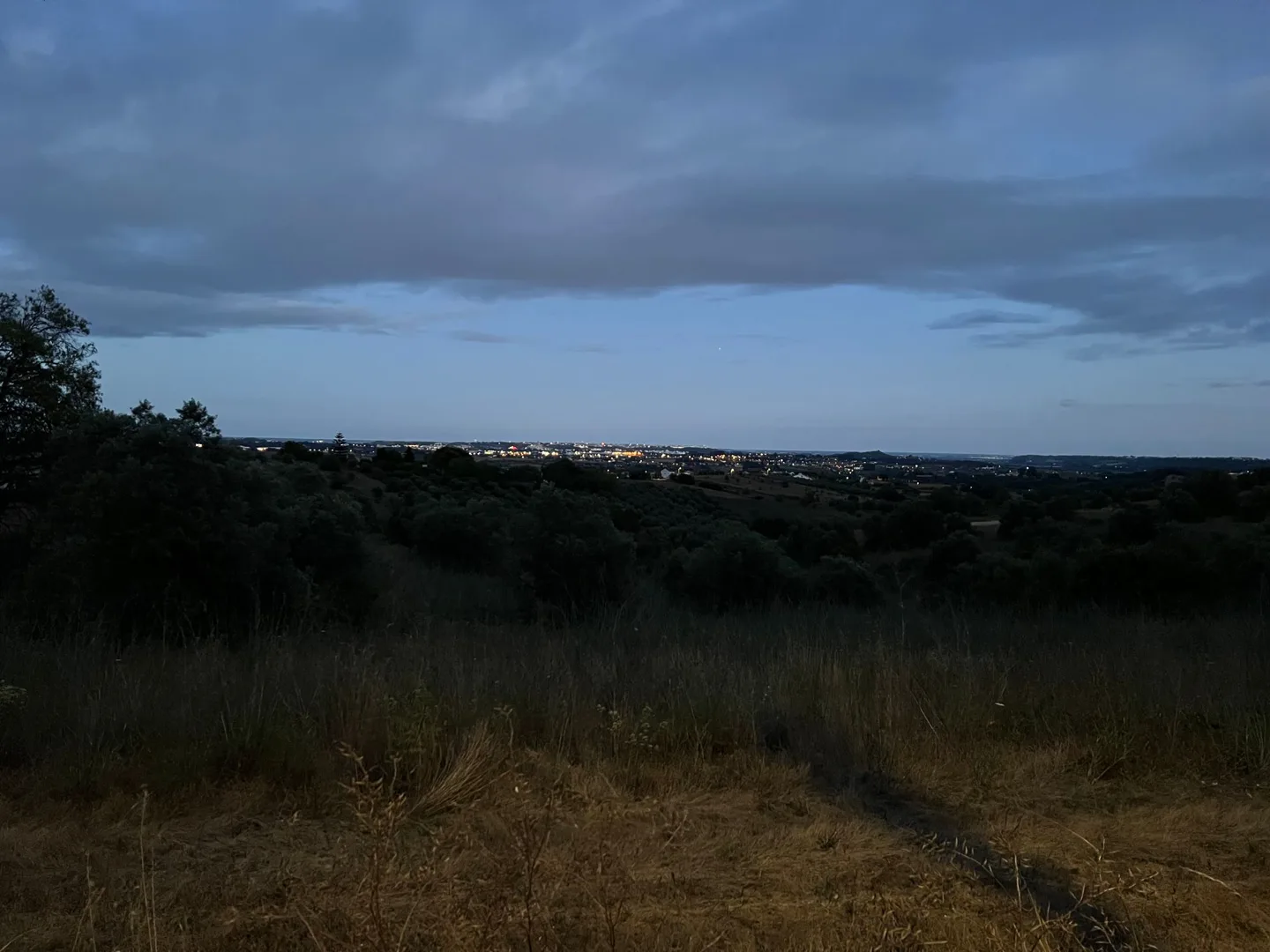 Fields beneath a cloudy evening sky