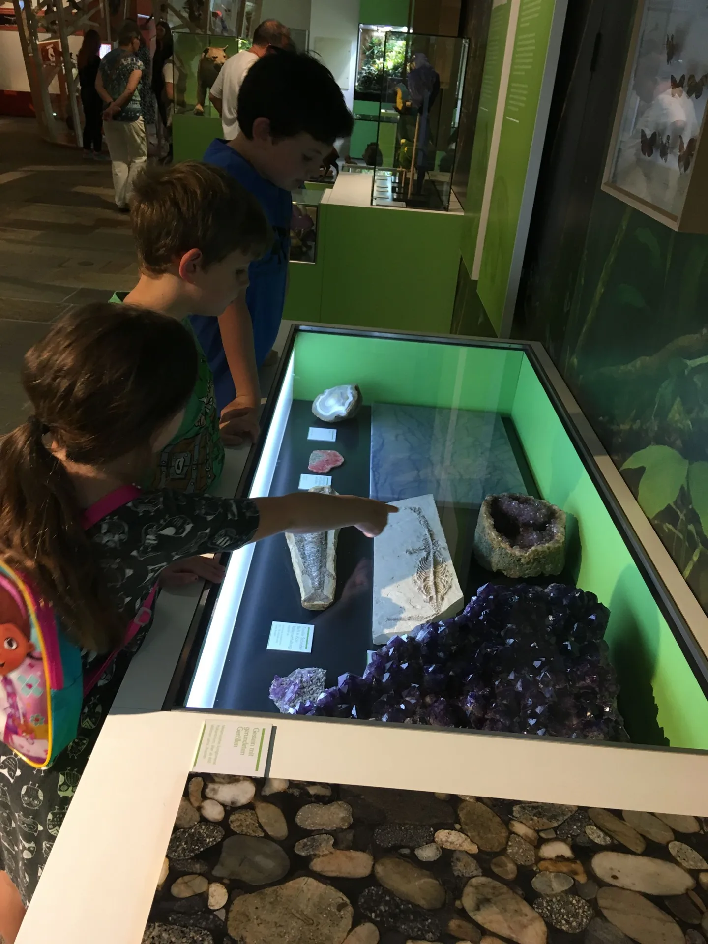 Children looking at museum displays