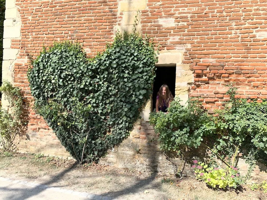 Ivy growing across an old brick wall