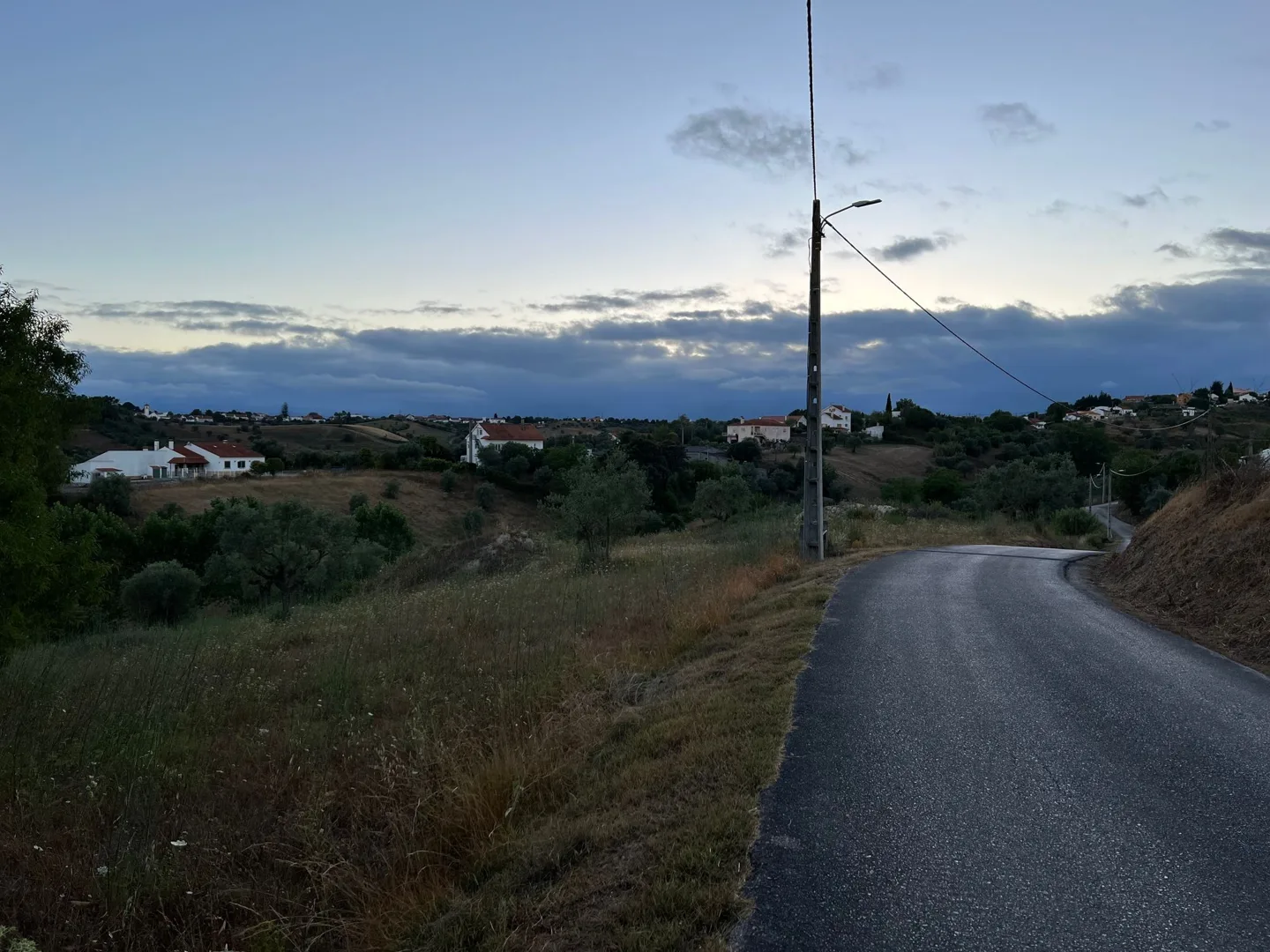 Country road through fields at dusk
