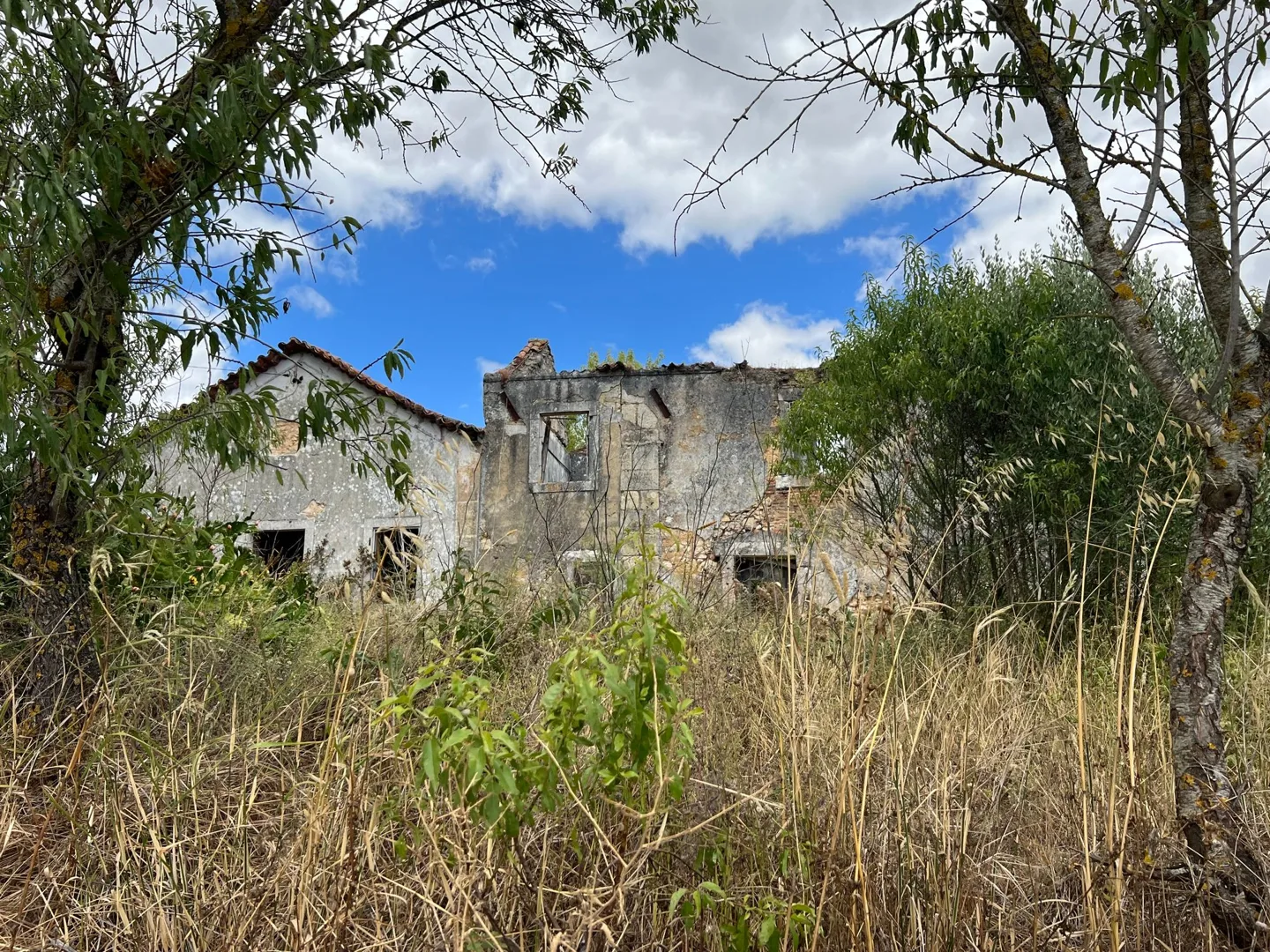 Old stone building partly hidden by vegetation