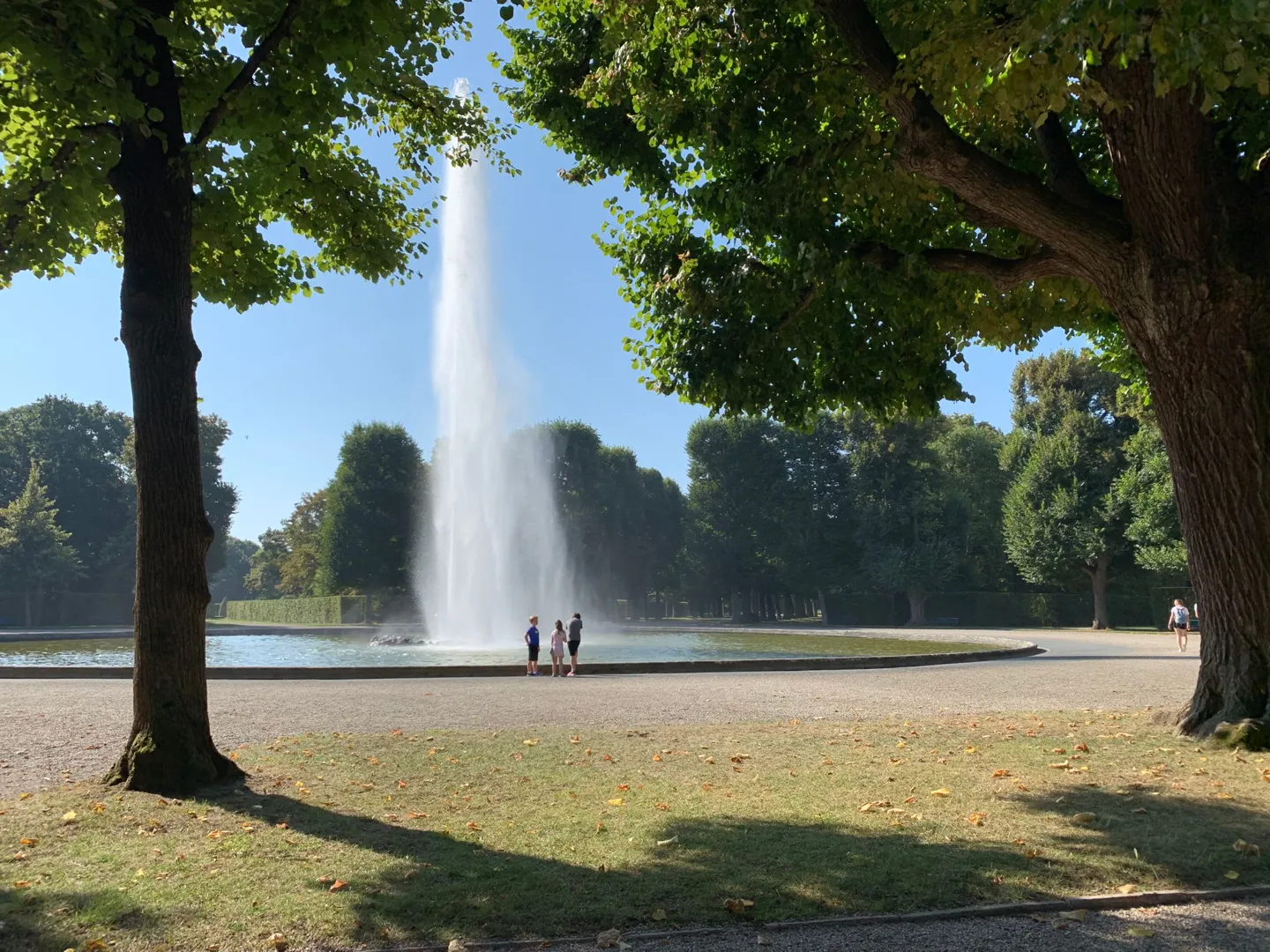Tall fountain framed by trees