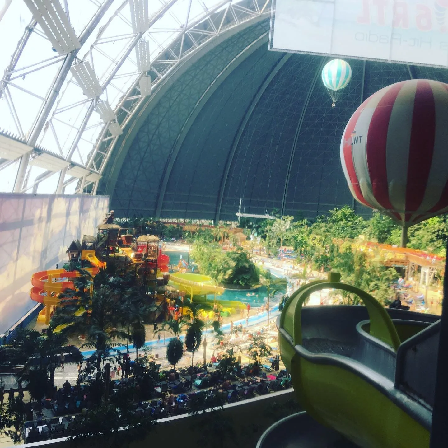 Indoor tropical plants beneath the huge dome