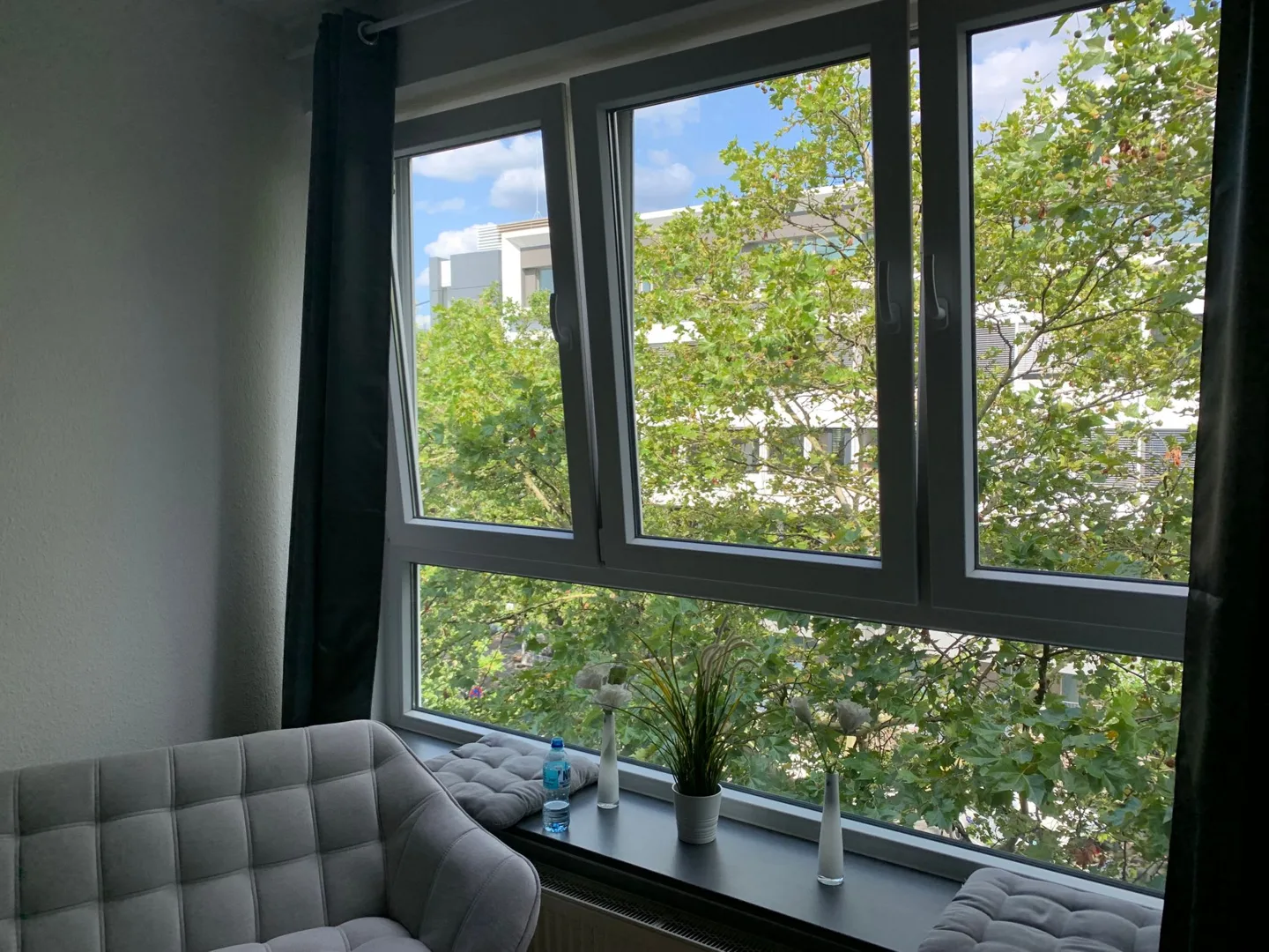 Apartment windows overlooking leafy trees