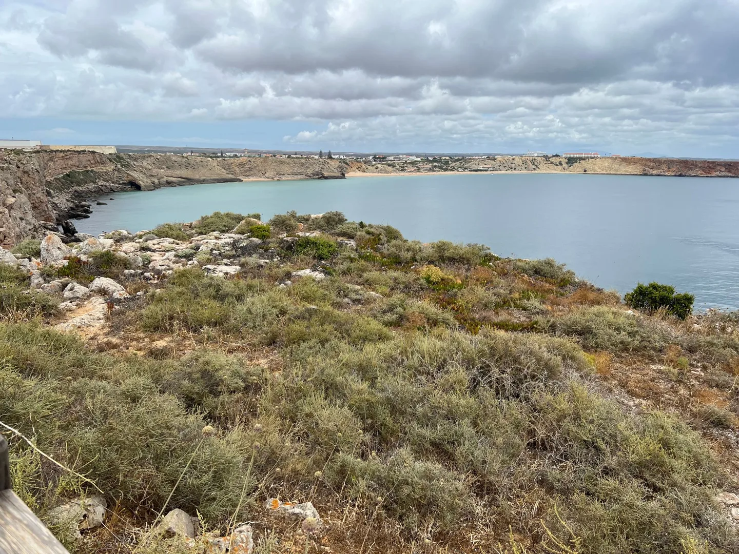 Coastal scrub above a sheltered bay