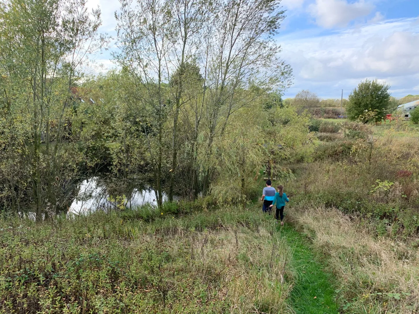 Child exploring beside a pond and trees