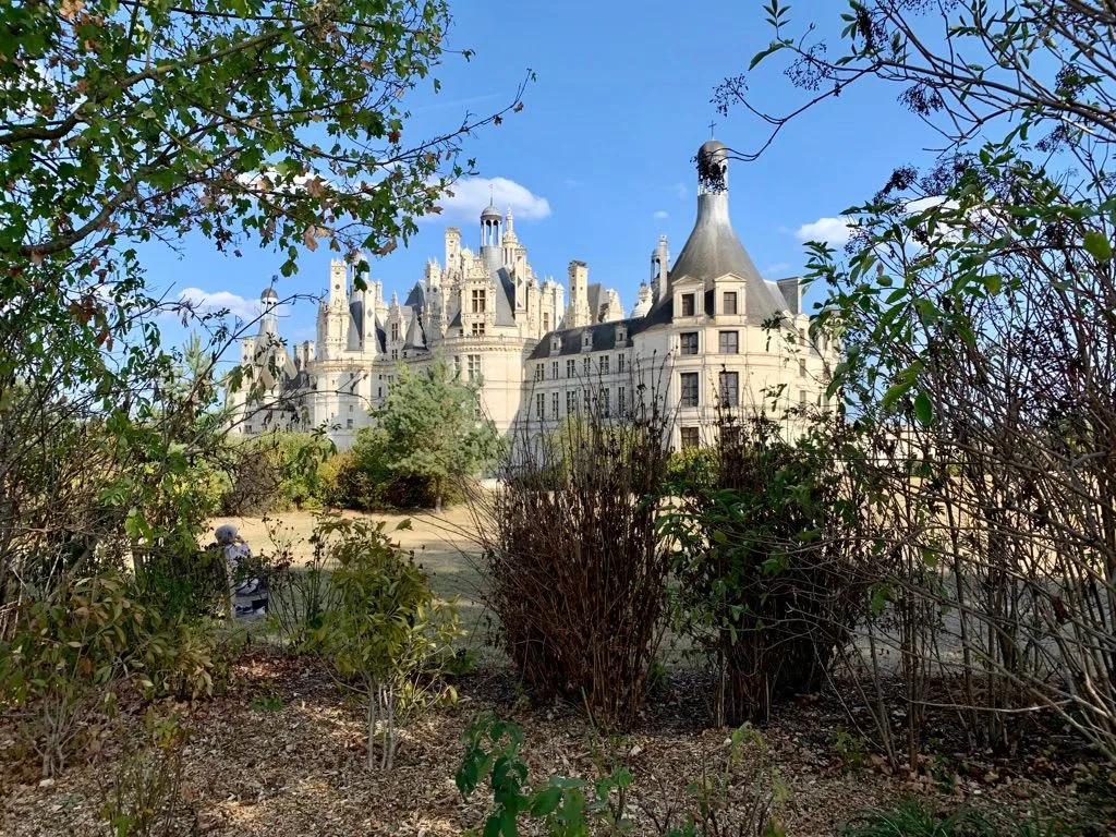 Château de Chambord framed by trees