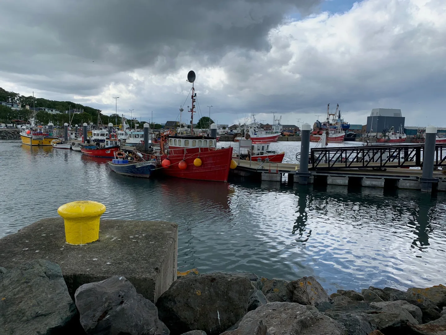 Fishing boats moored in a harbor