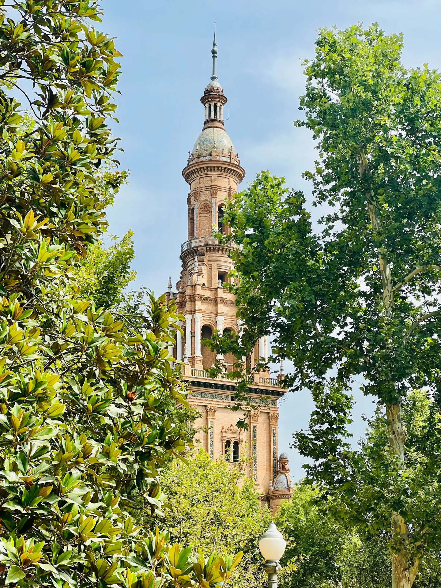 Church tower framed by leafy trees