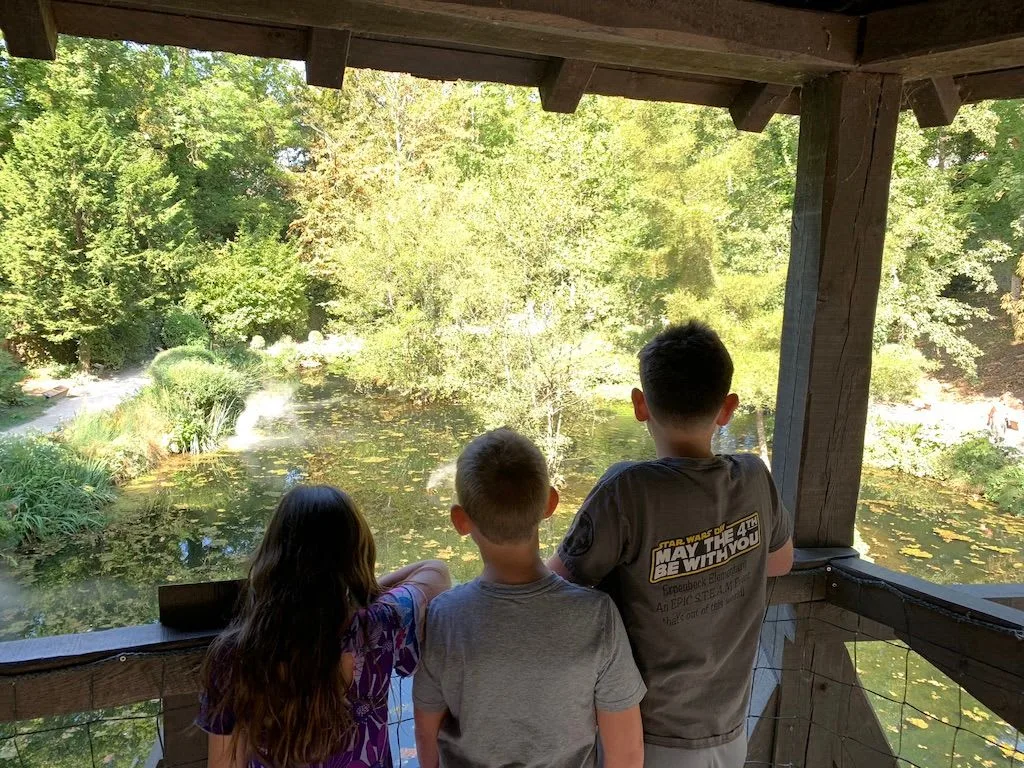 Children looking over a garden from a covered shelter