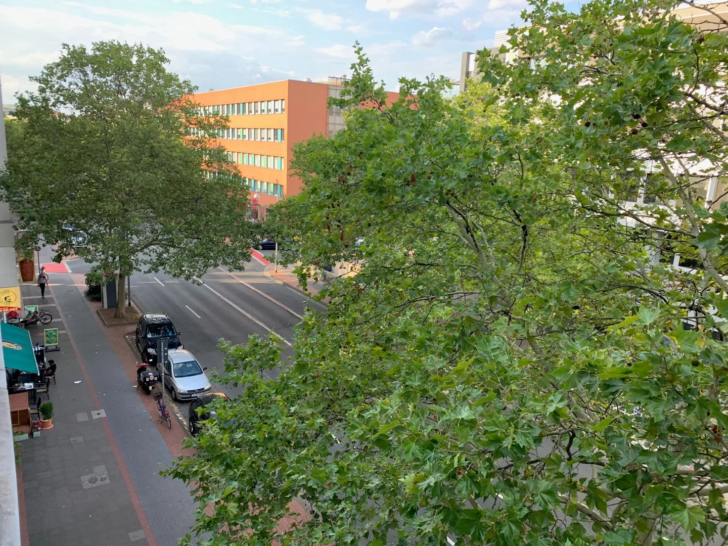 Street and trees viewed from an apartment window