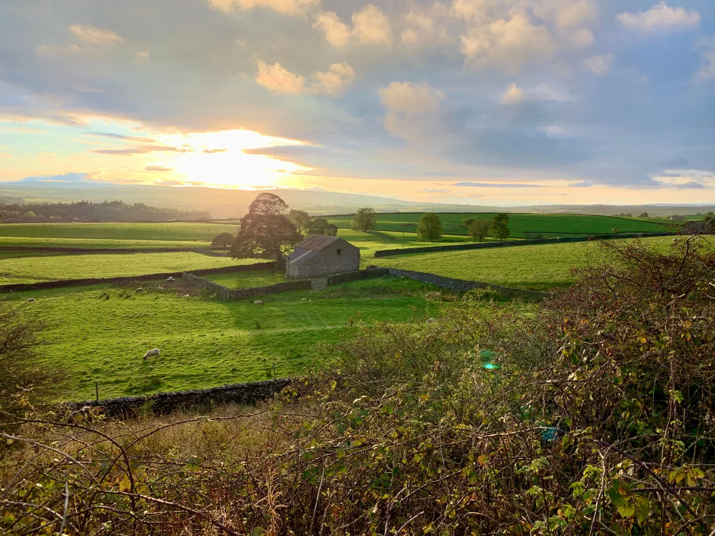 Sunset over rolling green fields