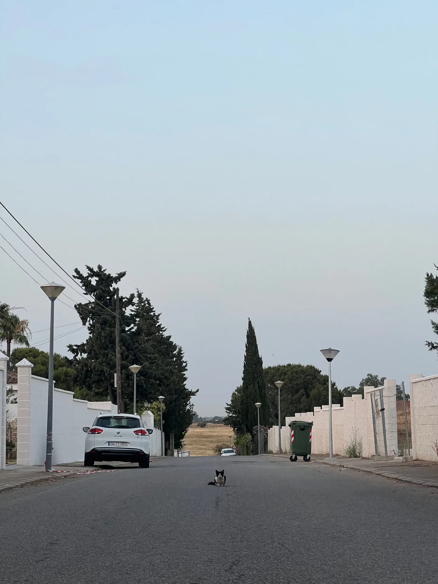 Quiet street of white houses at dusk