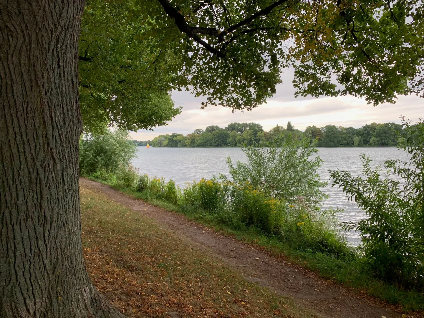 Shaded path beside the lake