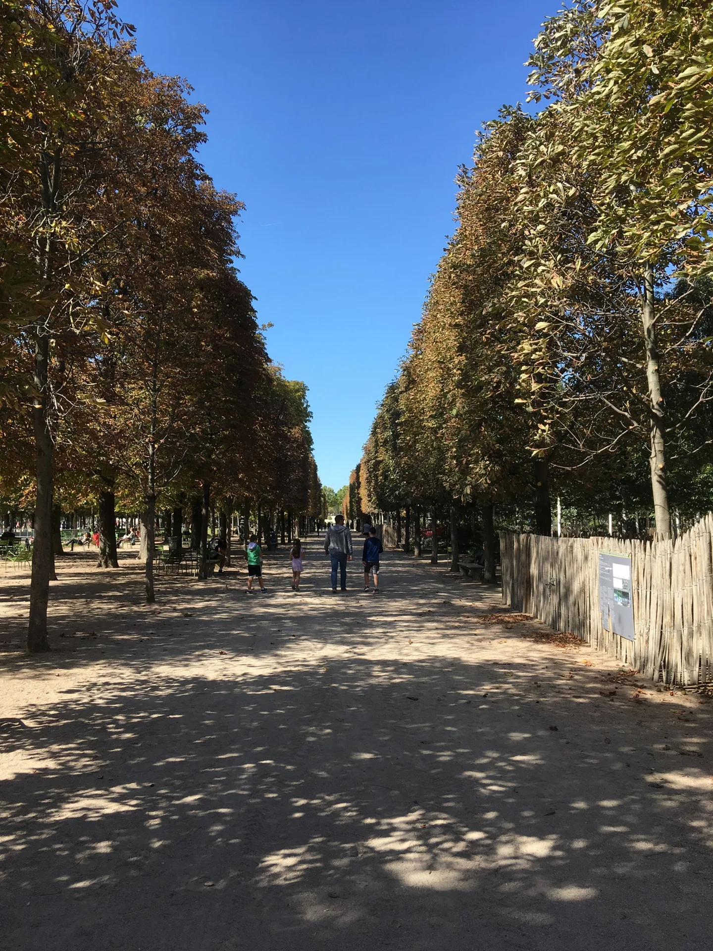 Tree-lined garden path