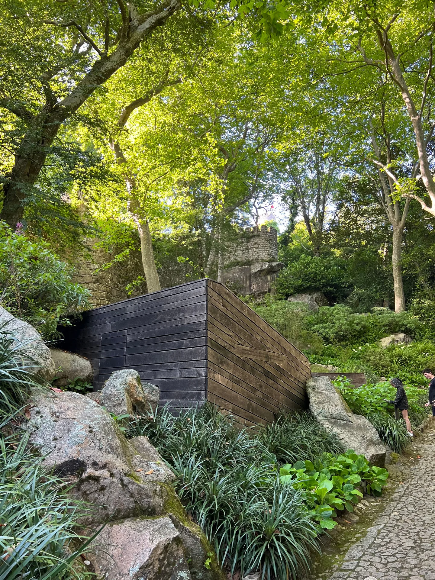 Garden path through dense greenery