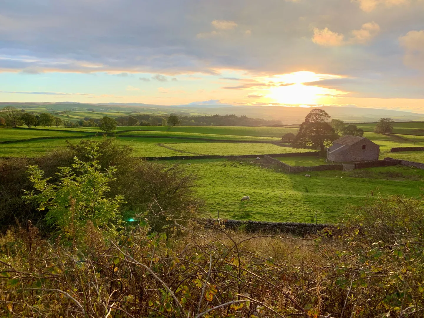 Sun setting over green fields and stone walls