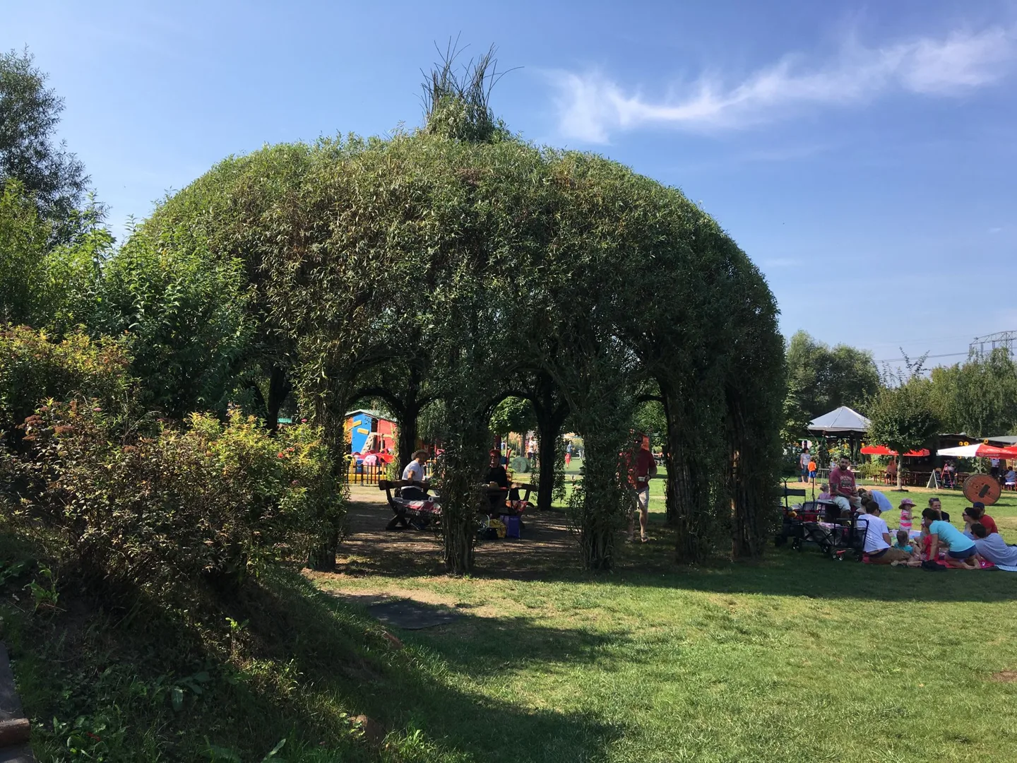 Arched passage formed by climbing plants